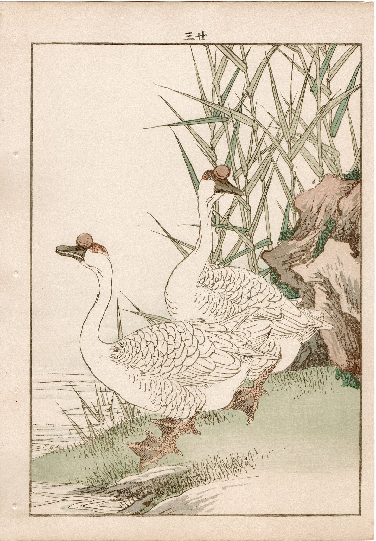 Japanese Antique Original Woodcut Print, 1892, Imao Keinen, "Reed, Goose"