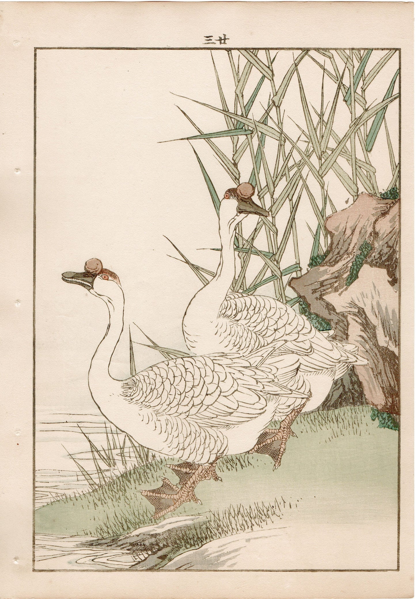 1892, Japanese Antique Original Woodblock Print, Imao Keinen, "Reed, Goose"