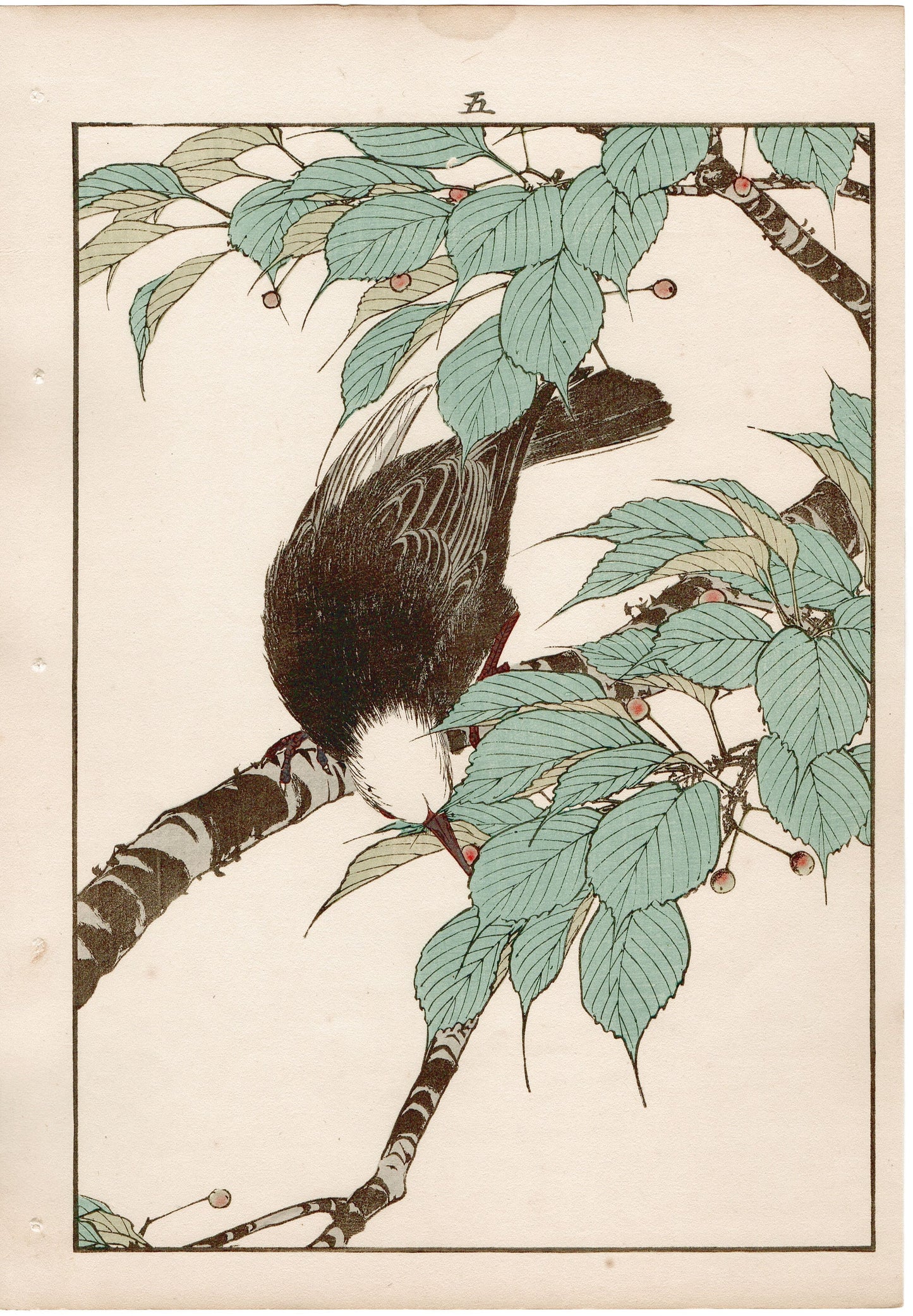 Japanese Antique Original Woodcut Print, 1892, Imao Keinen, "Cherries, Chinese bulbul"