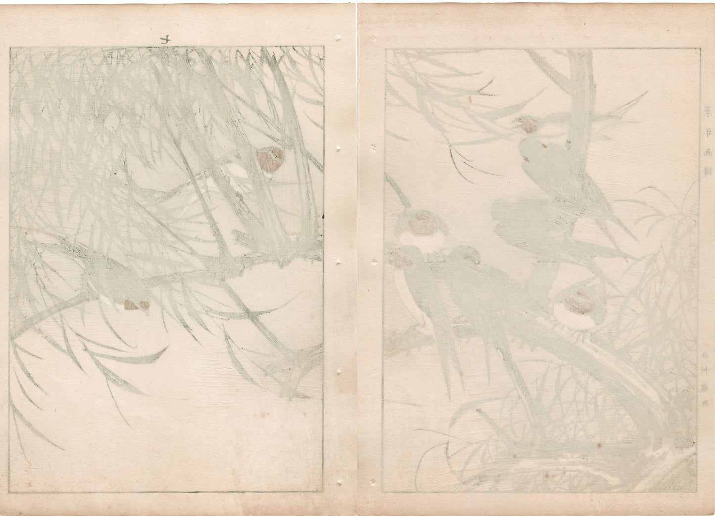 Japanese Antique Original Woodcut Print, 1892, Imao Keinen, "Willow, Swallow "
