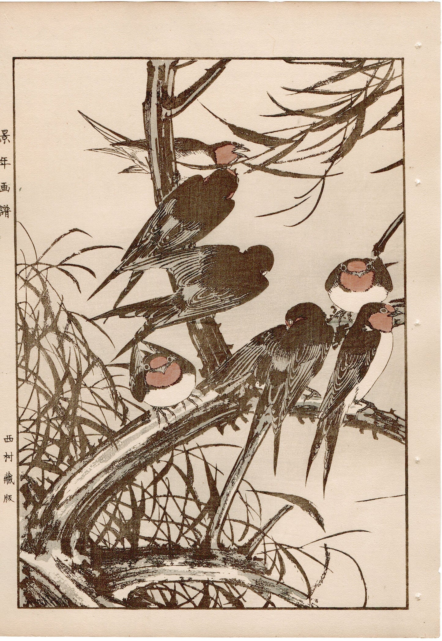 Japanese Antique Original Woodcut Print, 1892, Imao Keinen, "Willow, Swallow "