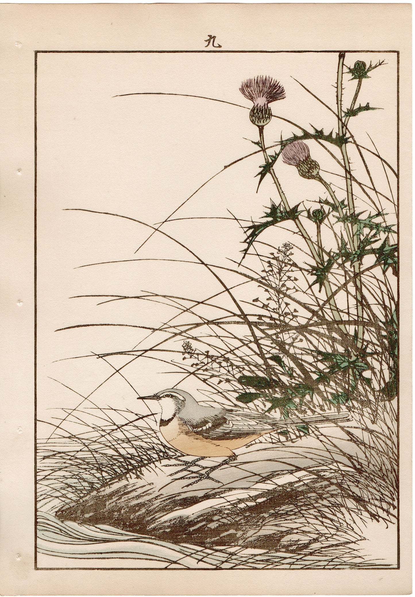 Japanese Antique Original Woodcut Print, 1892, Imao Keinen, "Japanese thistle, Grey Wagtail"