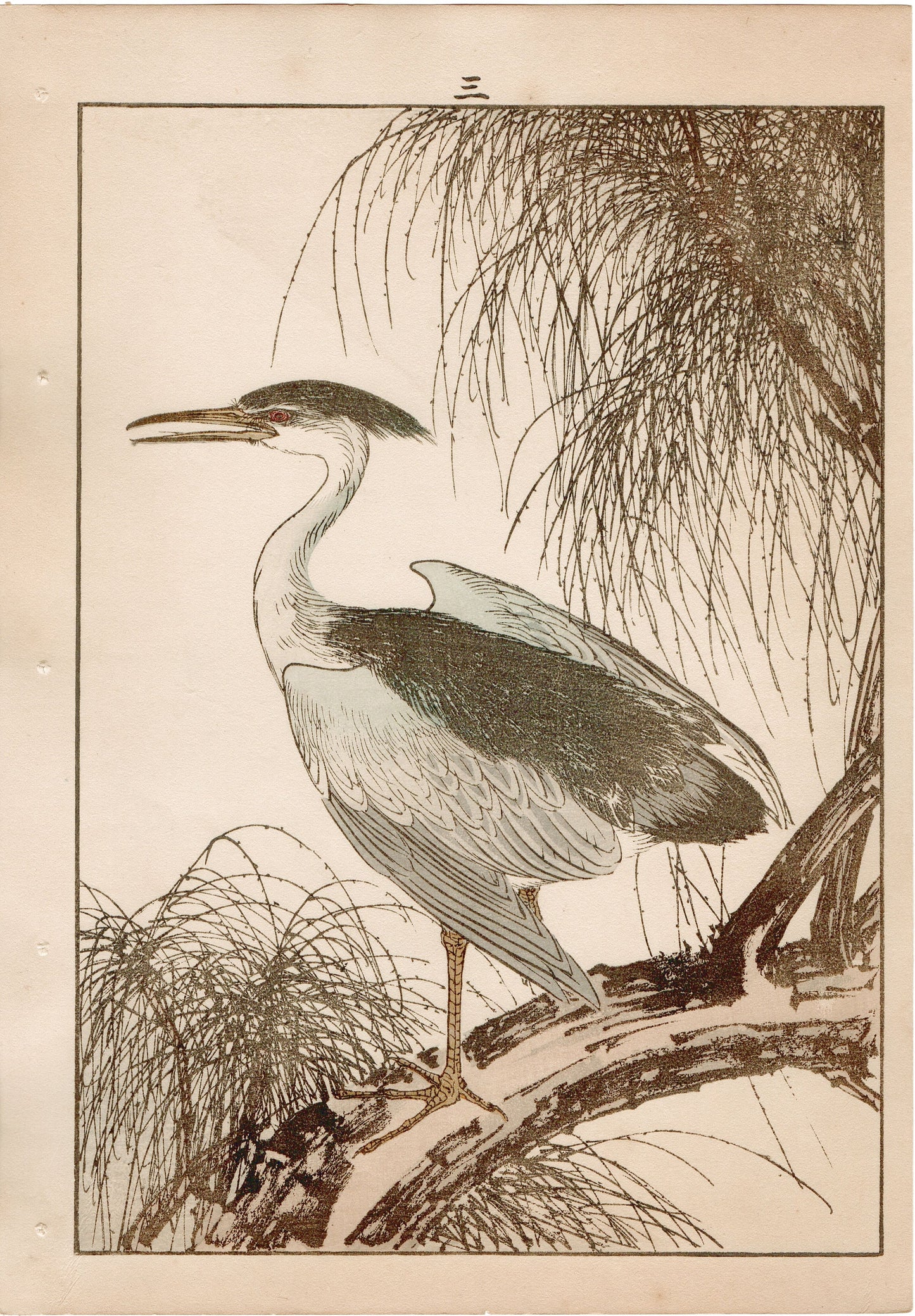 Japanese Antique Original Woodcut Print, 1892, Imao Keinen, "Willow, Black-crowned night heron Night heron"