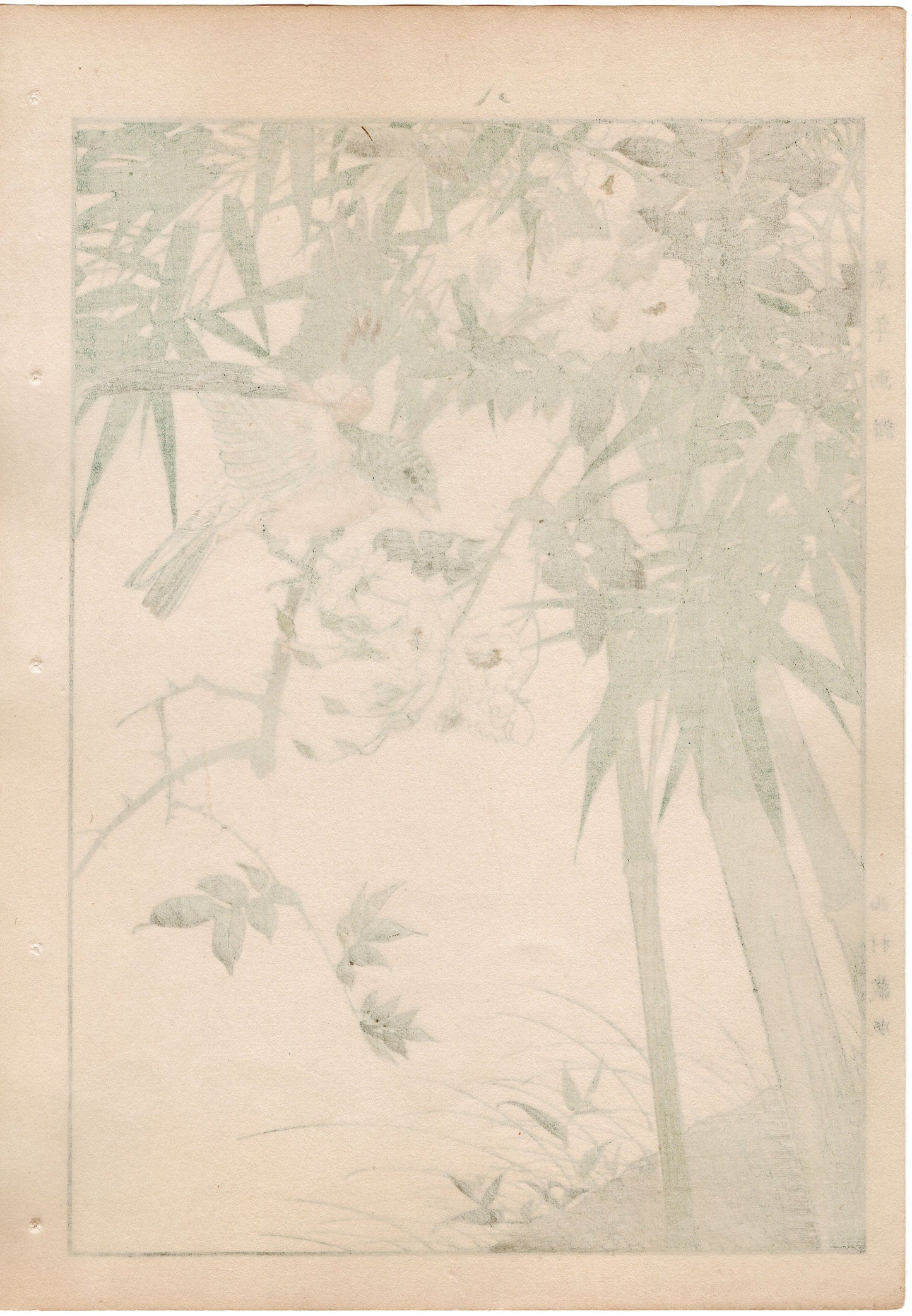 Japanese Antique Original Woodcut Print, 1892, Imao Keinen, " Japanese rose (Noibara), Shinobedake, Finch (Atori) "