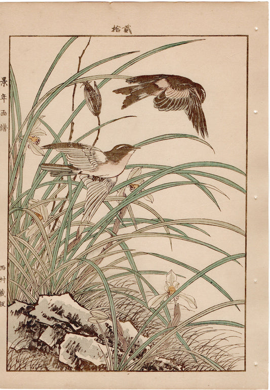 Japanese Antique Original Woodcut Print, 1892, Imao Keinen, " Riverstream orchid (Hokuri), Swallows (Tsubame) "