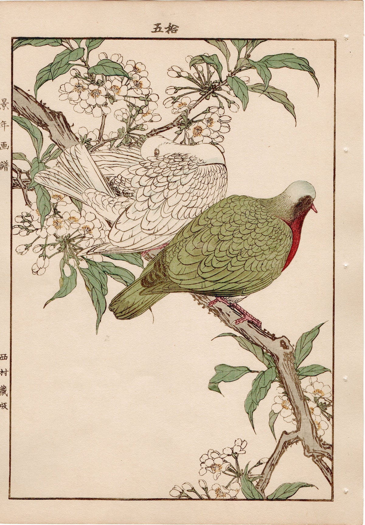 1892, Japanese Antique Original Woodblock Print,  1892, Imao Keinen, " Almond (Hatankyo), Pigeons (Nishikibato) "