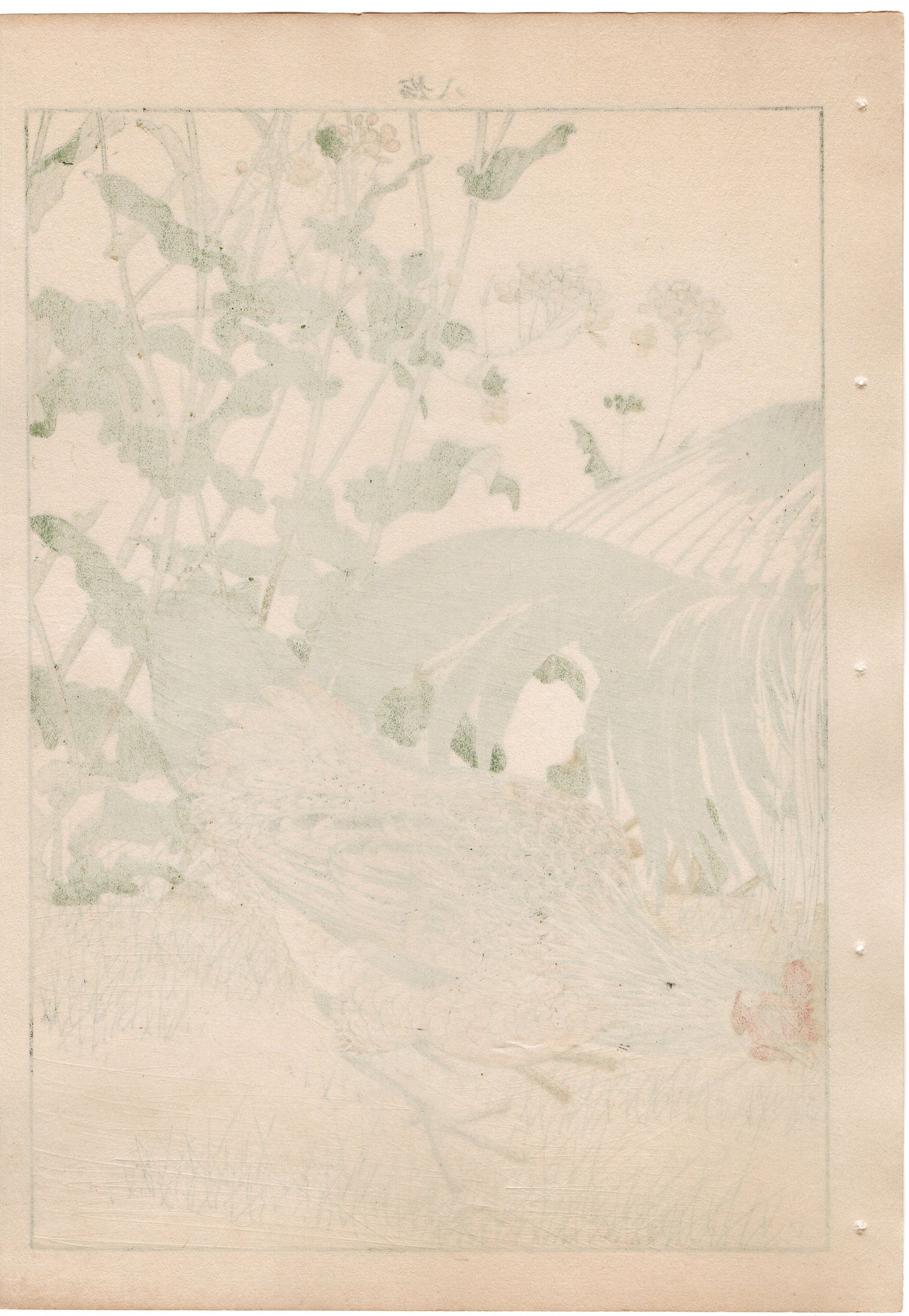 Japanese Antique Original Woodcut Print, 1892, Imao Keinen, " Rapeseeds (Aburana), Roosters (Niwatori) "