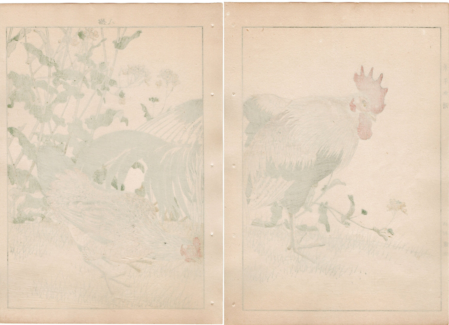 Japanese Antique Original Woodcut Print, 1892, Imao Keinen, " Rapeseeds (Aburana), Roosters (Niwatori) "