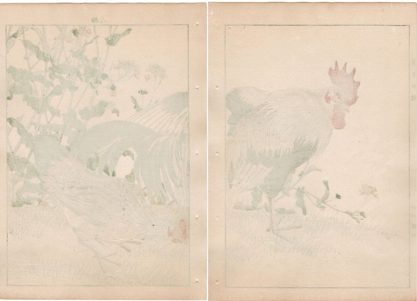 Japanese Antique Original Woodcut Print, 1892, Imao Keinen, " Rapeseeds (Aburana), Roosters (Niwatori) "