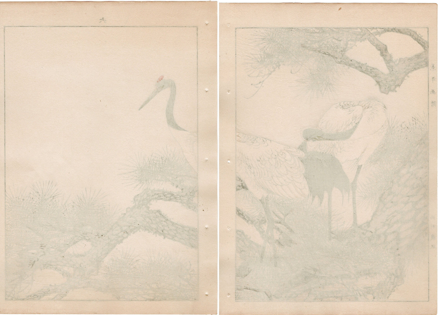 Japanese Antique Original Woodcut Print, 1892, Imao Keinen, "Old pine tree, Japanese crane"