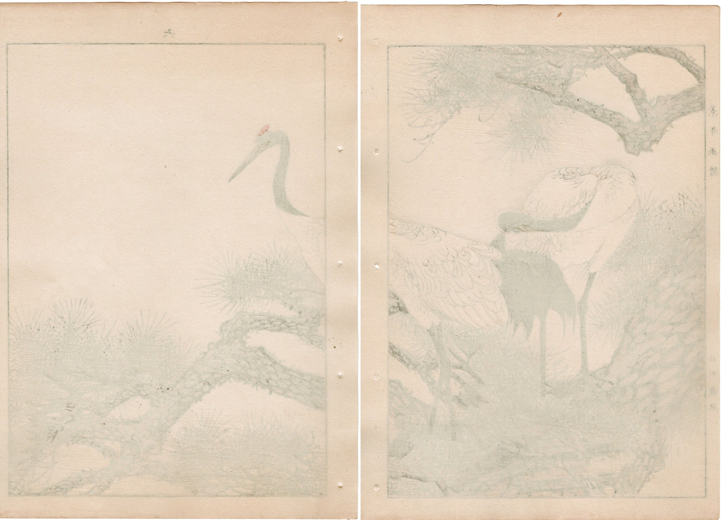 Japanese Antique Original Woodcut Print, 1892, Imao Keinen, "Old pine tree, Japanese crane"