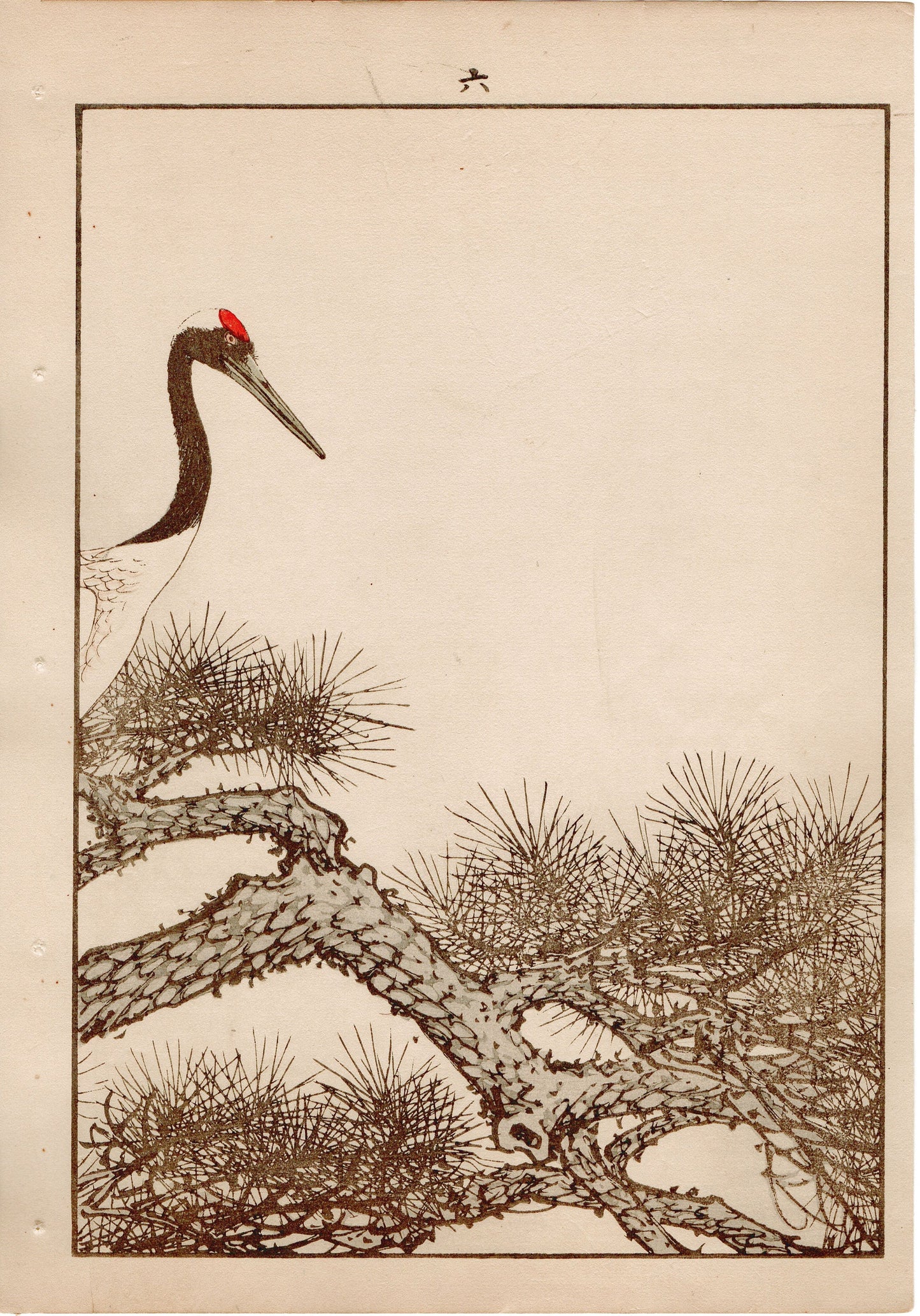 Japanese Antique Original Woodcut Print, 1892, Imao Keinen, "Old pine tree, Japanese crane"