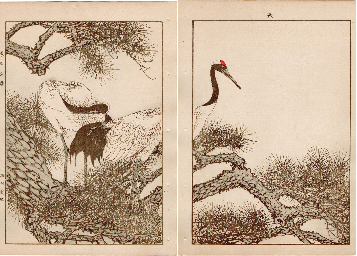 Japanese Antique Original Woodcut Print, 1892, Imao Keinen, "Old pine tree, Japanese crane"