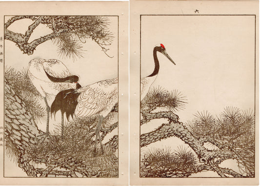 Japanese Antique Original Woodcut Print, 1892, Imao Keinen, "Old pine tree, Japanese crane"