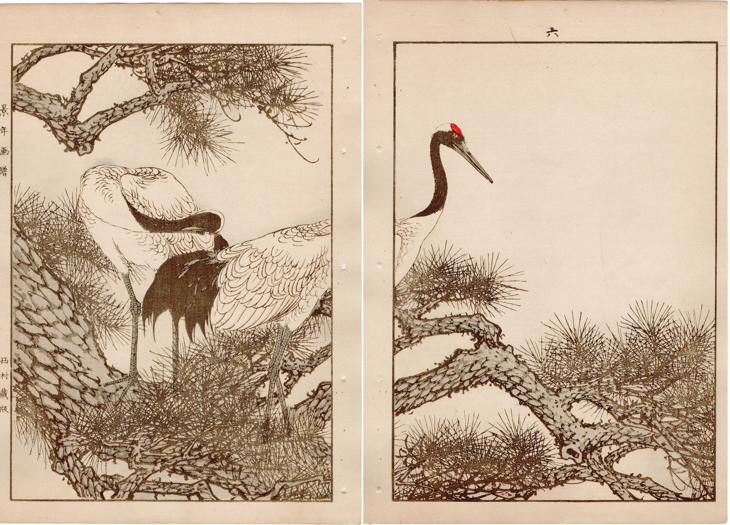 Japanese Antique Original Woodcut Print, 1892, Imao Keinen, "Old pine tree, Japanese crane"