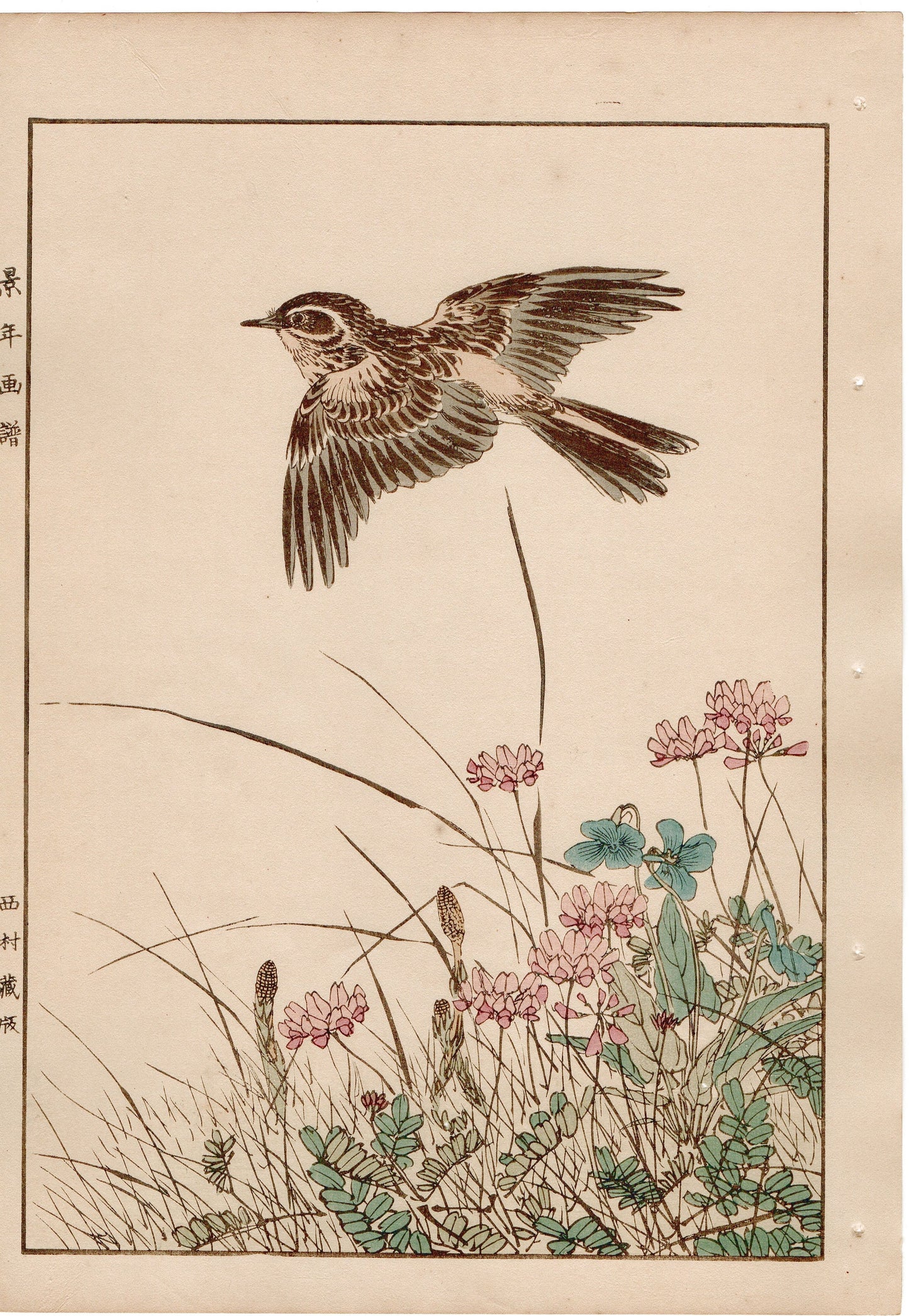Japanese Antique Original Woodcut Print, 1892, Imao Keinen, " Chinese milk vetch, Violet, Dandelion, Horsetail, Lark ,Olive-backed Pipit "