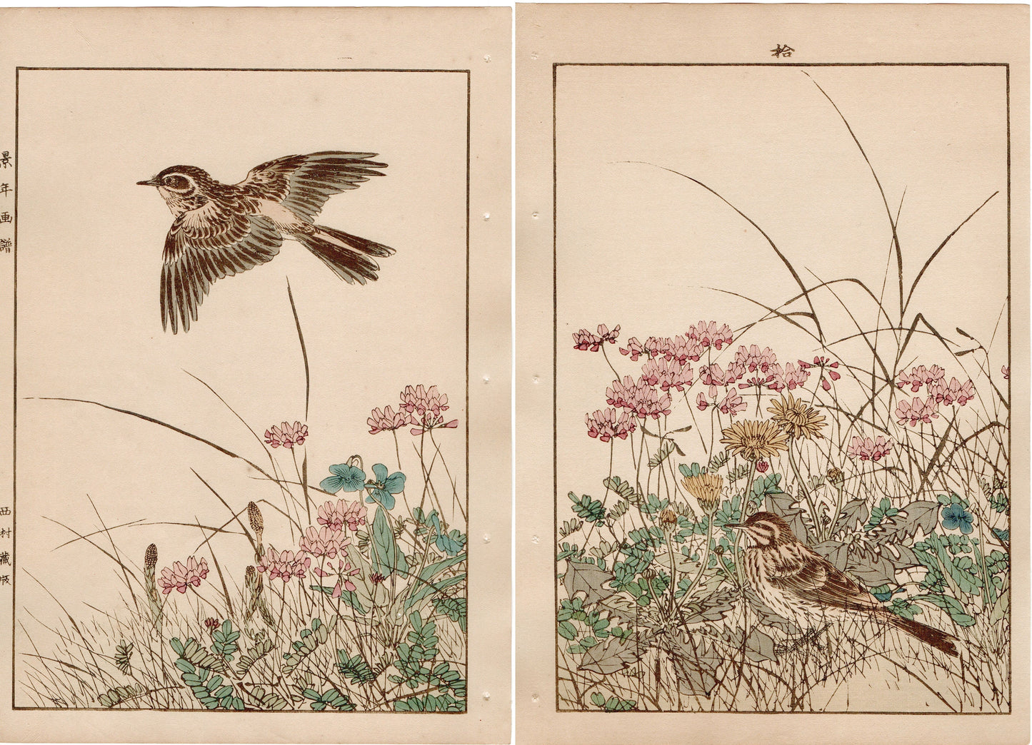 Japanese Antique Original Woodcut Print, 1892, Imao Keinen, " Chinese milk vetch, Violet, Dandelion, Horsetail, Lark ,Olive-backed Pipit "