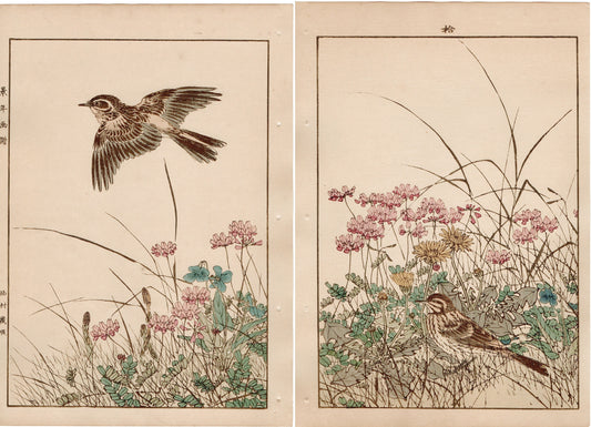 Japanese Antique Original Woodcut Print, 1892, Imao Keinen, " Chinese milk vetch, Violet, Dandelion, Horsetail, Lark ,Olive-backed Pipit "