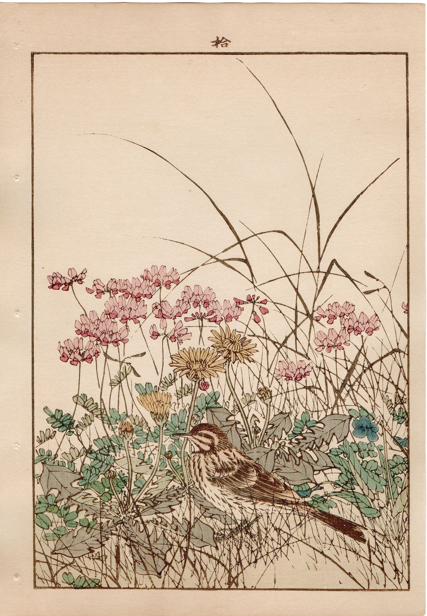 Japanese Antique Original Woodcut Print, 1892, Imao Keinen, " Chinese milk vetch, Violet, Dandelion, Horsetail, Lark ,Olive-backed Pipit "