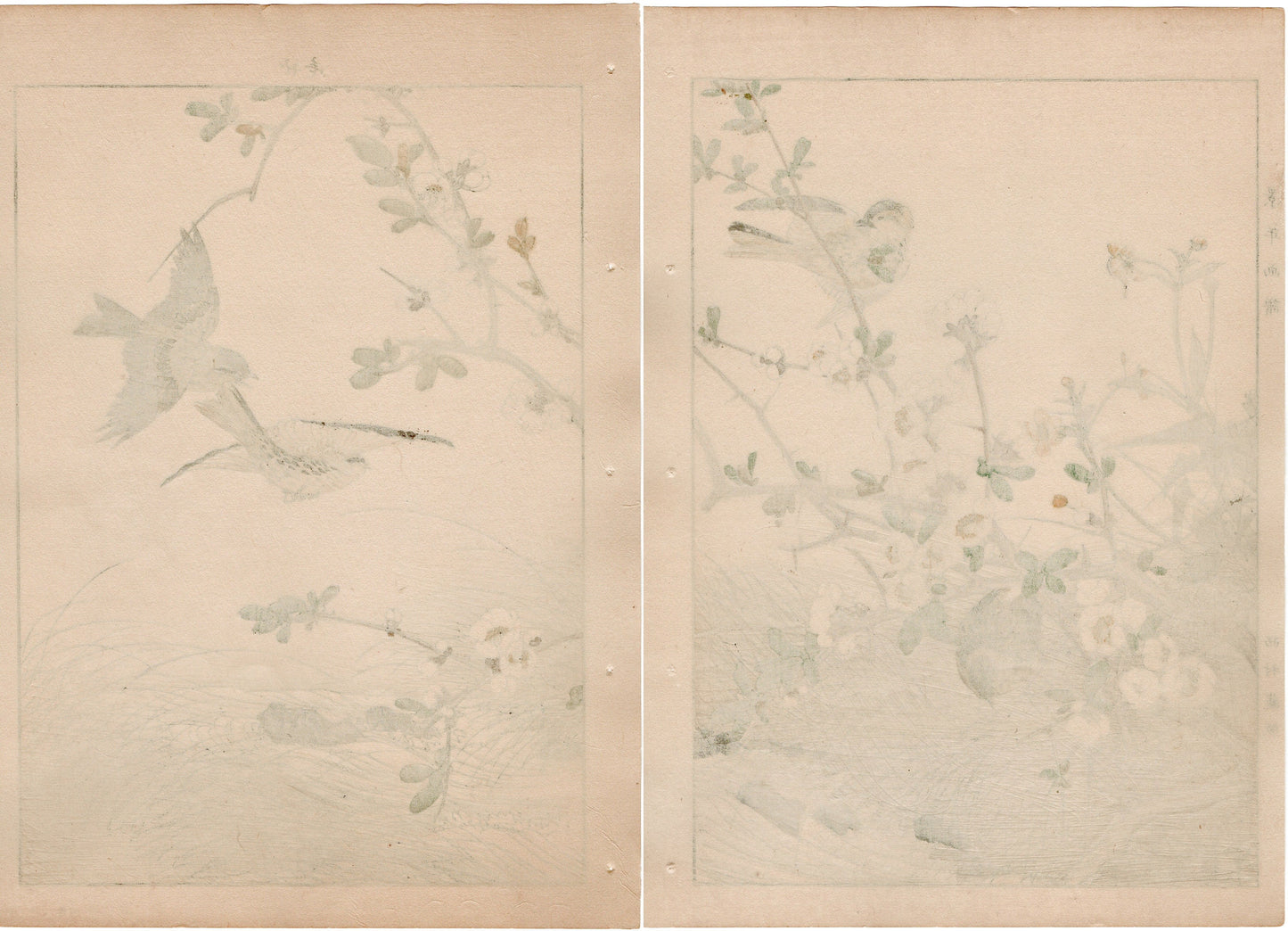 1892, Imao Keinen, " Japanese quince (Bokenohana), Japanese Buttercup (Umanoashigata), Siskin (Mahiwa) "