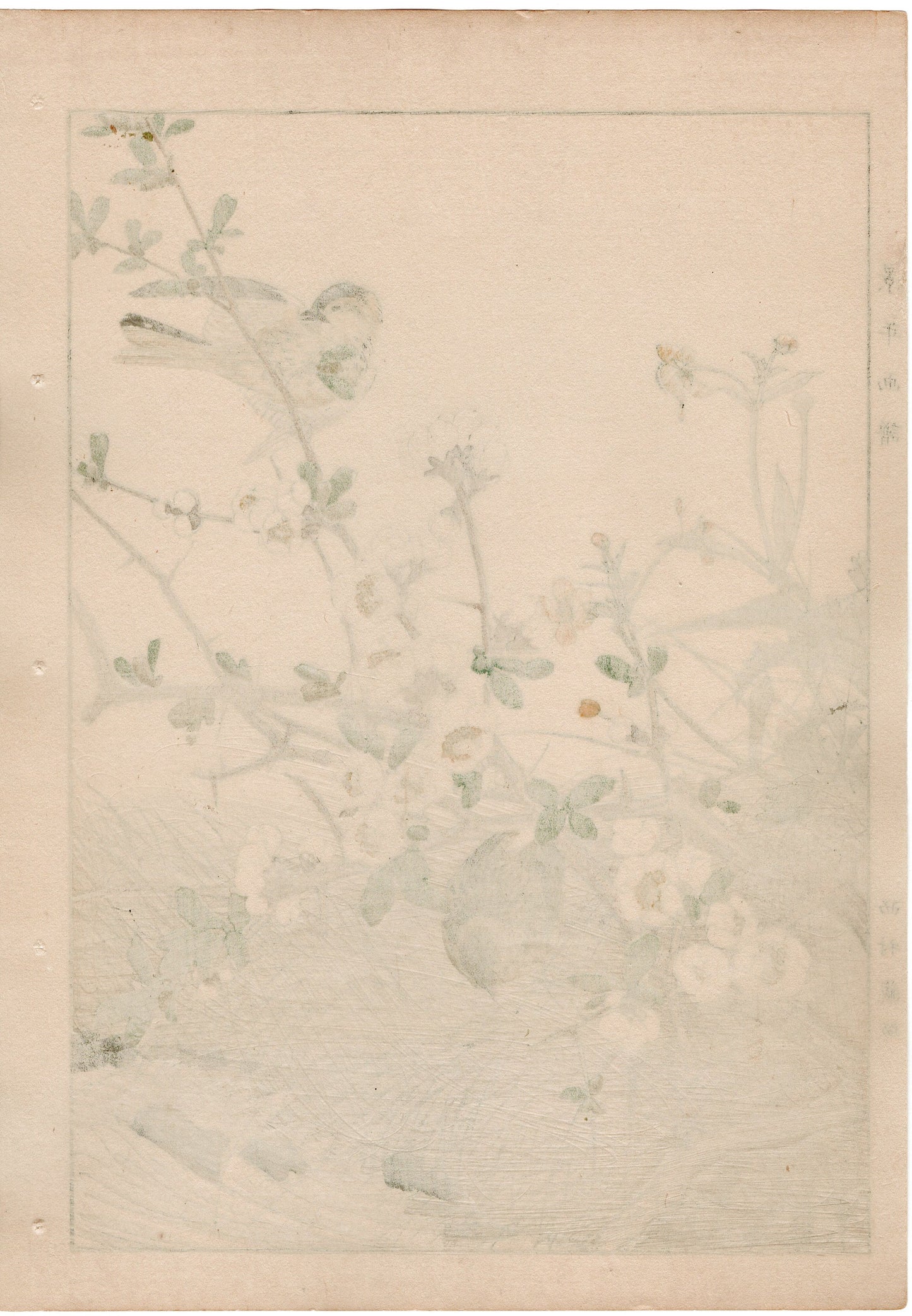 1892, Imao Keinen, " Japanese quince (Bokenohana), Japanese Buttercup (Umanoashigata), Siskin (Mahiwa) "