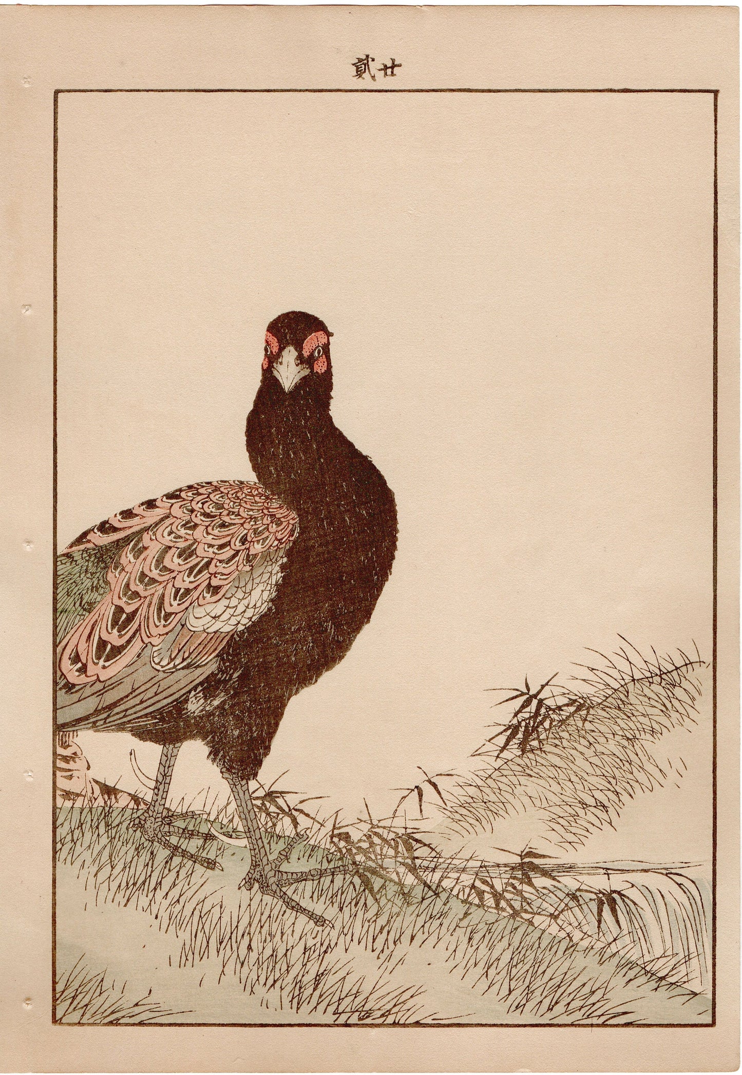 Japanese Antique Original Woodcut Print, 1892, Imao Keinen, " Azalea (Tsutsuji), Zenmai, Pheasant (Kiji) "