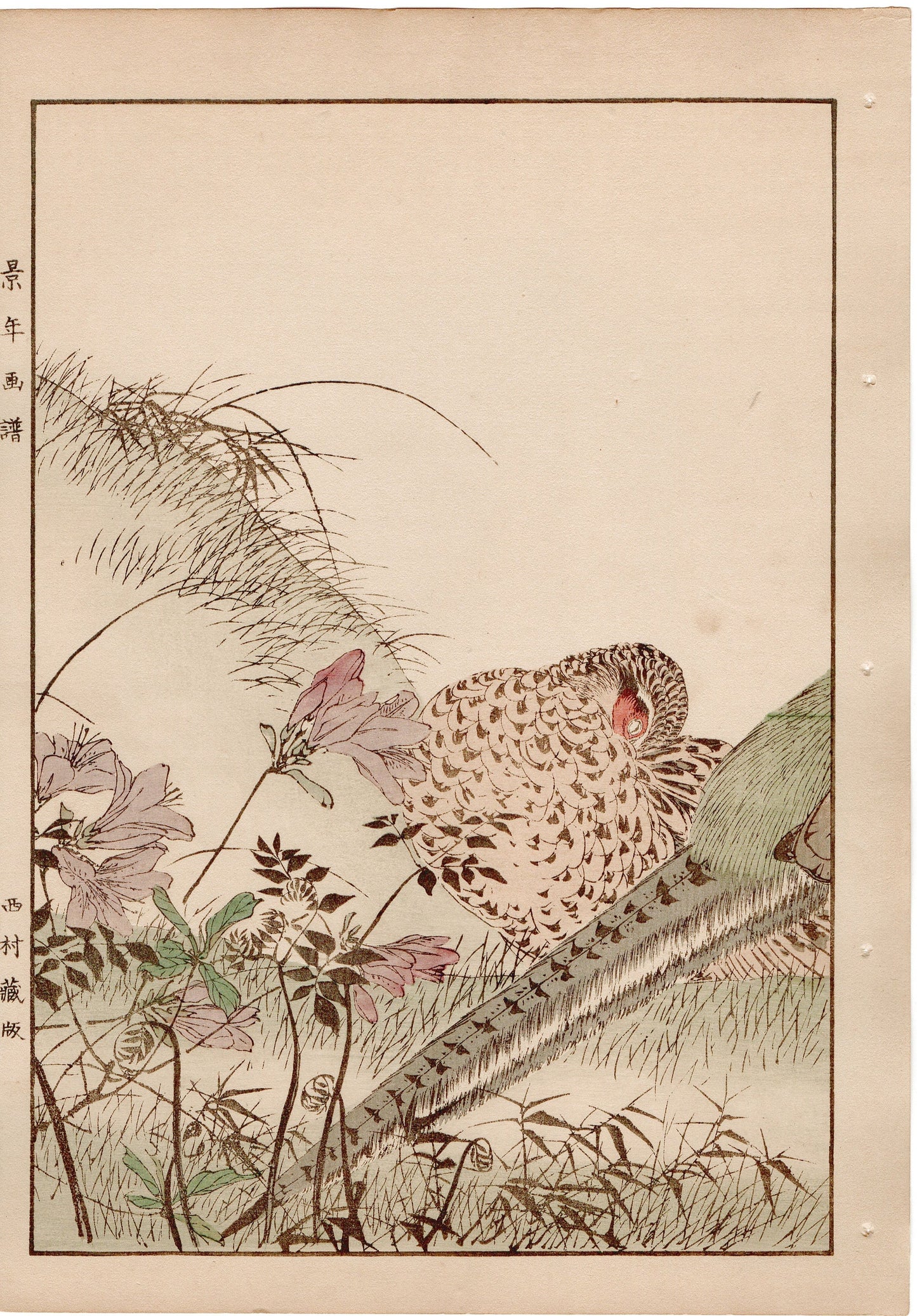 Japanese Antique Original Woodcut Print, 1892, Imao Keinen, " Azalea (Tsutsuji), Zenmai, Pheasant (Kiji) "