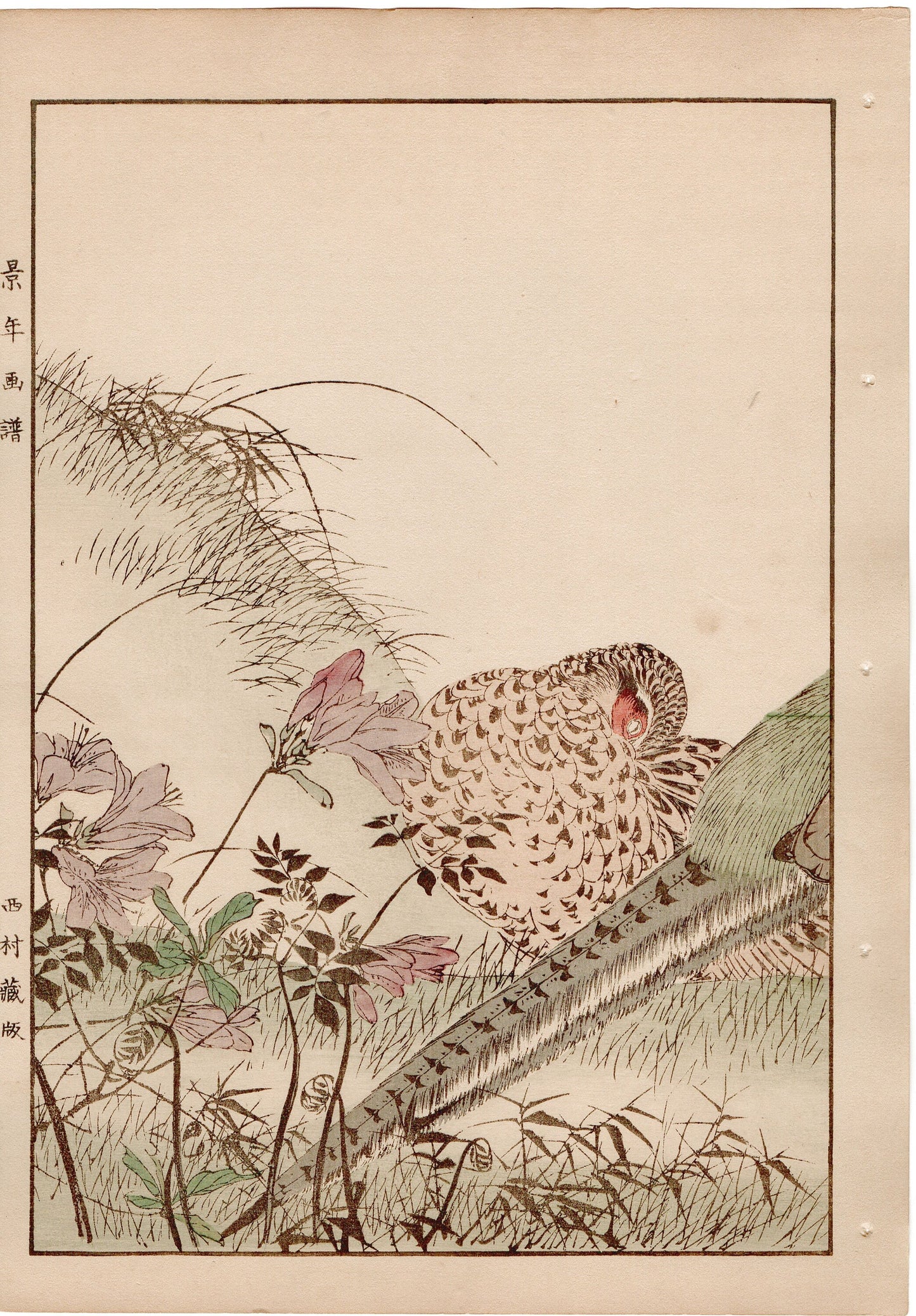 Japanese Antique Original Woodcut Print, 1892, Imao Keinen, " Azalea (Tsutsuji), Zenmai, Pheasant (Kiji) "