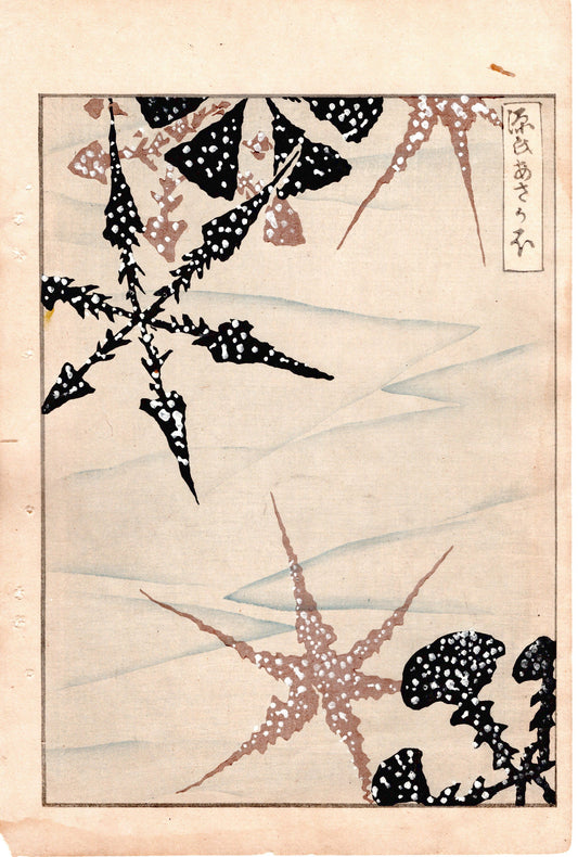 Japanese Antique Original Woodcut Print, Japanese design, Around 1900, Bijutsukai 4, Antique Japanese print, Kimono Design.