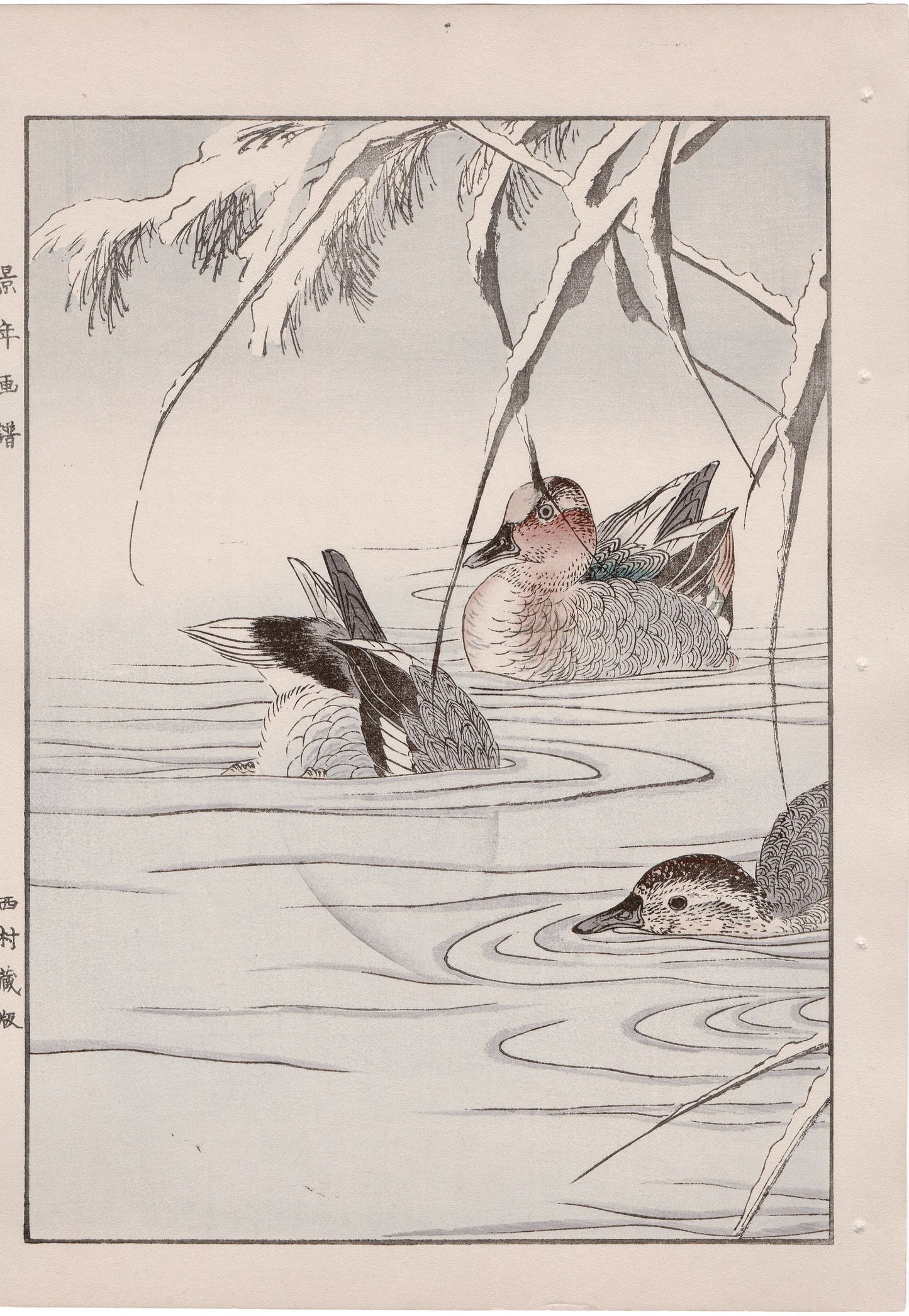 Japanese Antique Original Woodcut Print, 1892, Imao Keinen, "Reed, Duck"