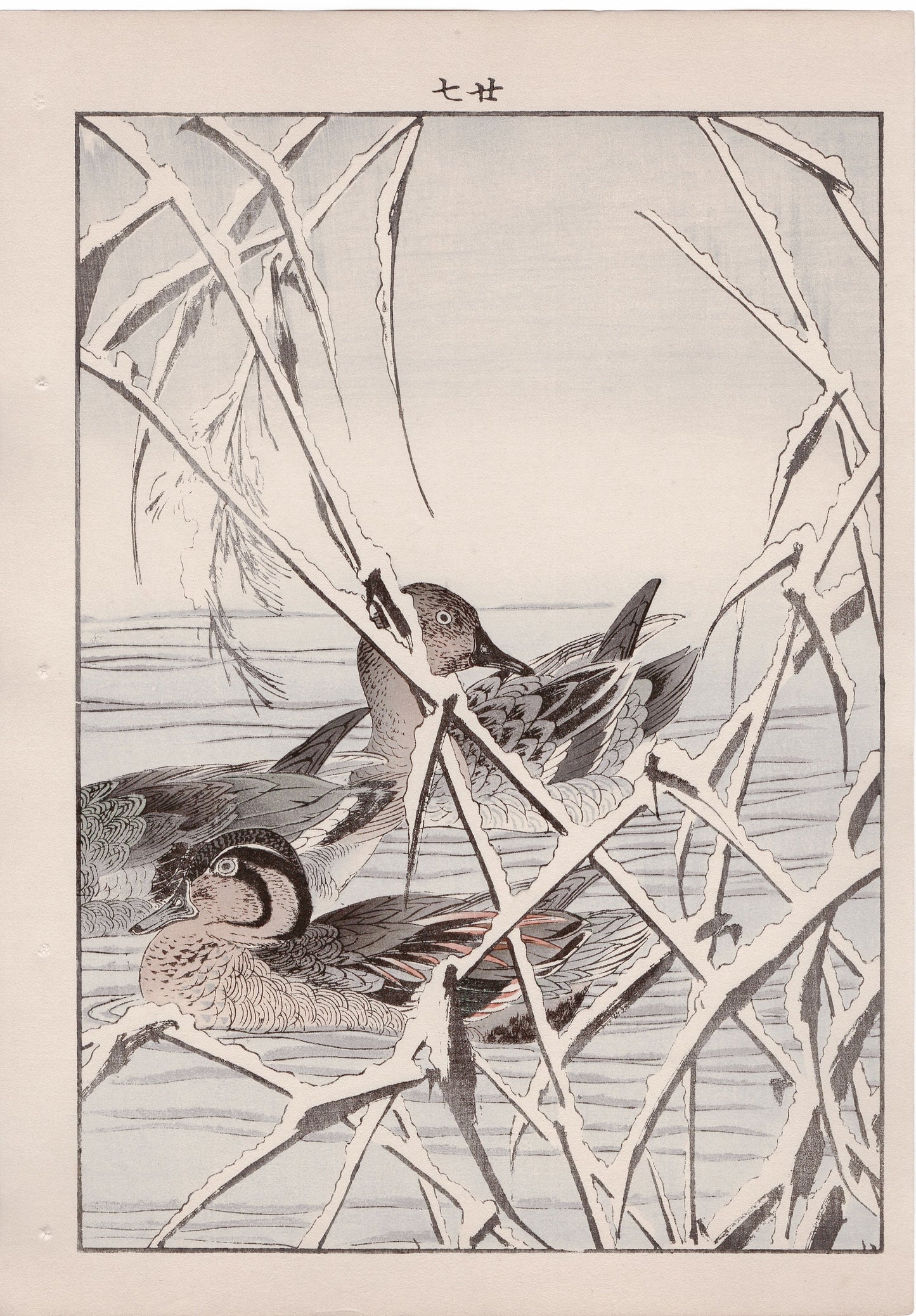 Japanese Antique Original Woodcut Print, 1892, Imao Keinen, "Reed, Duck"