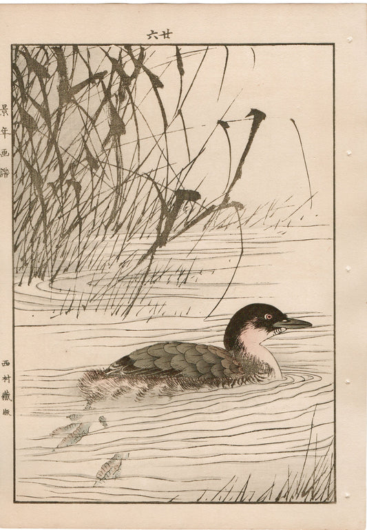 Japanese Antique Original Woodcut Print, 1892, Imao Keinen, "Manchurian wild rice, Little grebe"