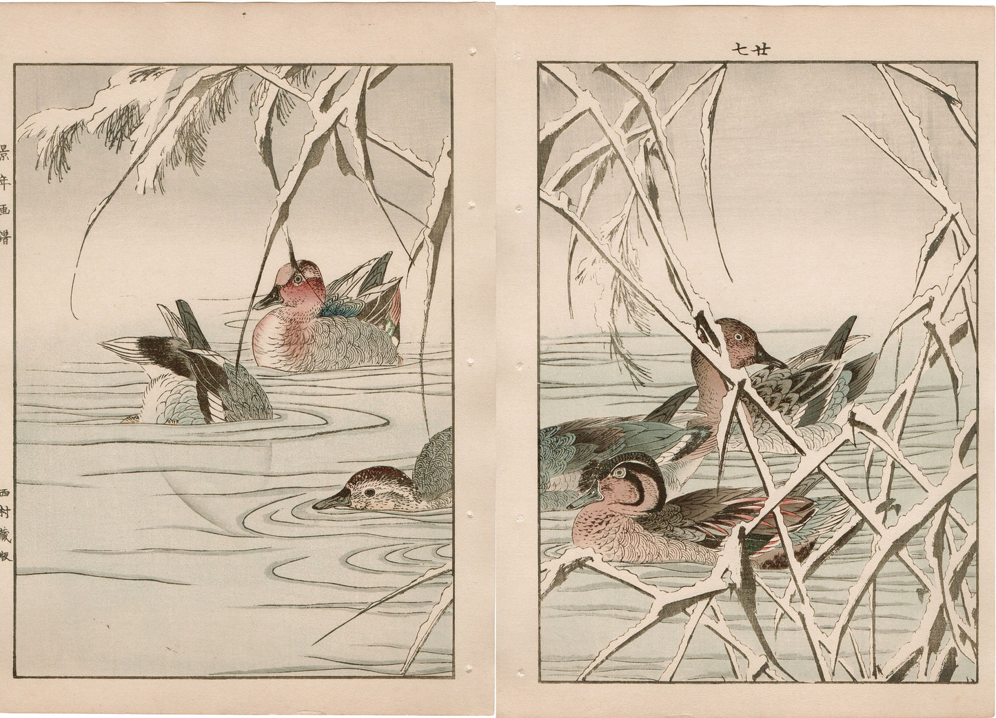 Japanese Antique Original Woodcut Print, 1892, Imao Keinen, "Reed, Duck"