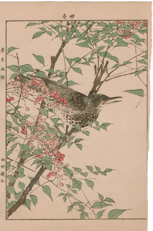 Japanese Antique Original Woodcut Print, 1892, Imao Keinen, "Heavenly bamboo, Bulbul"