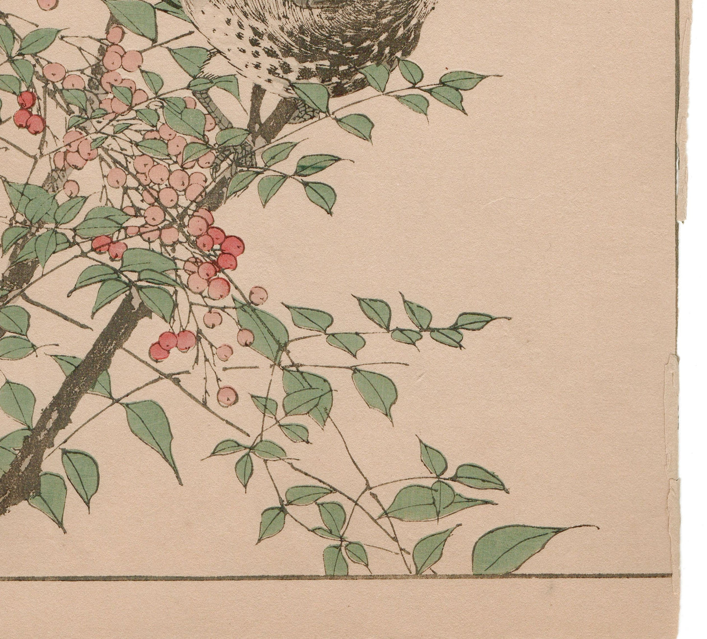 Japanese Antique Original Woodcut Print, 1892, Imao Keinen, "Heavenly bamboo, Bulbul"