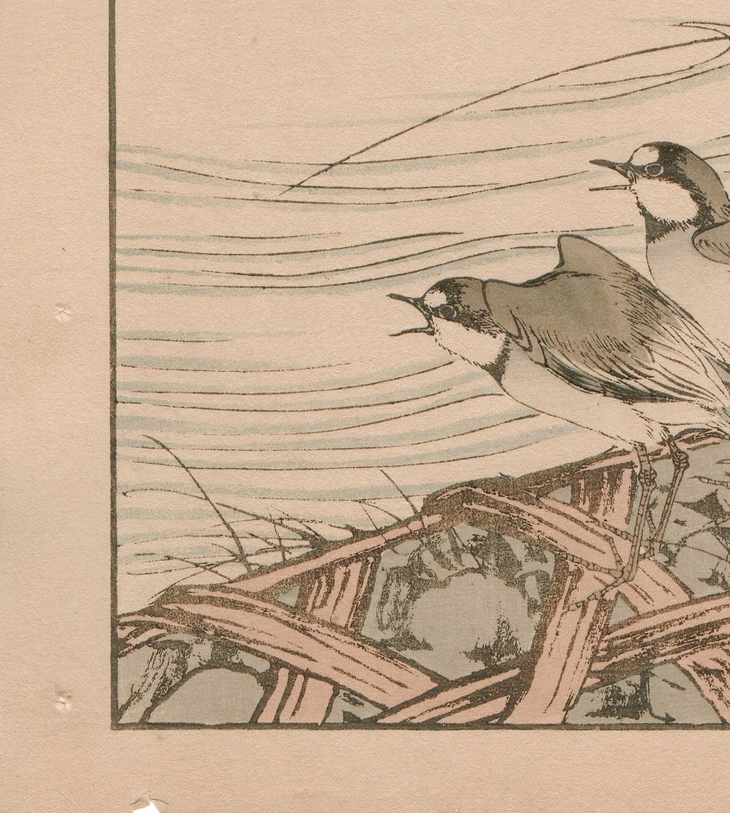Japanese Antique Original Woodcut Print, 1892, Imao Keinen, "Thatch, River plover"