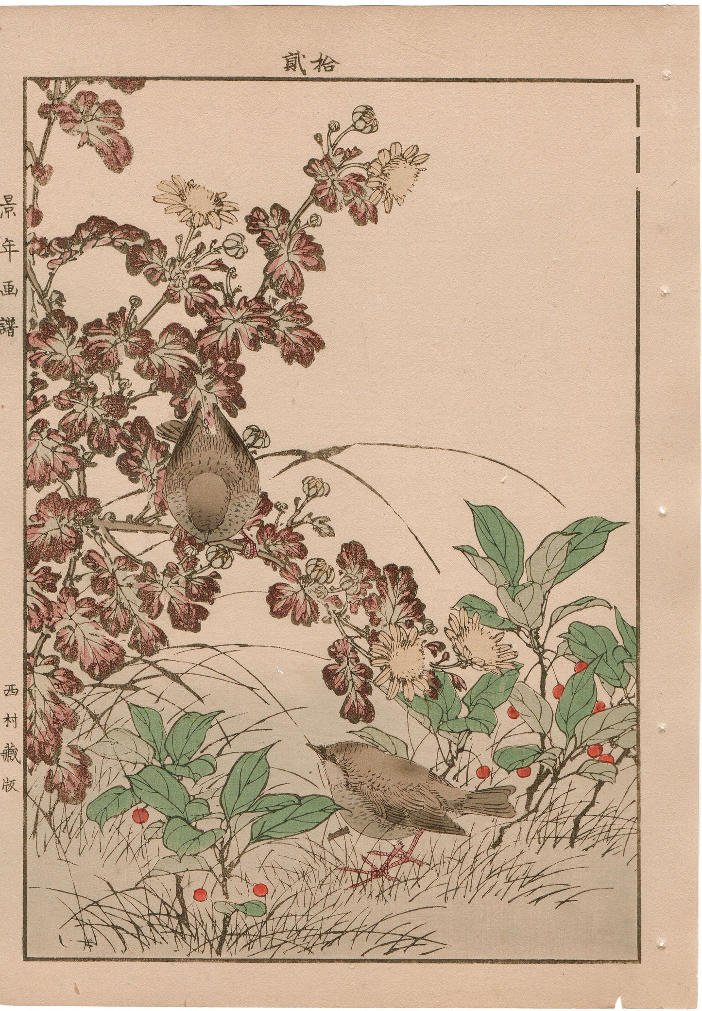 Japanese Antique Original Woodcut Print, 1892, Imao Keinen, "Winter chrysanthemum, Ardisia japonica, Eurasian wren"