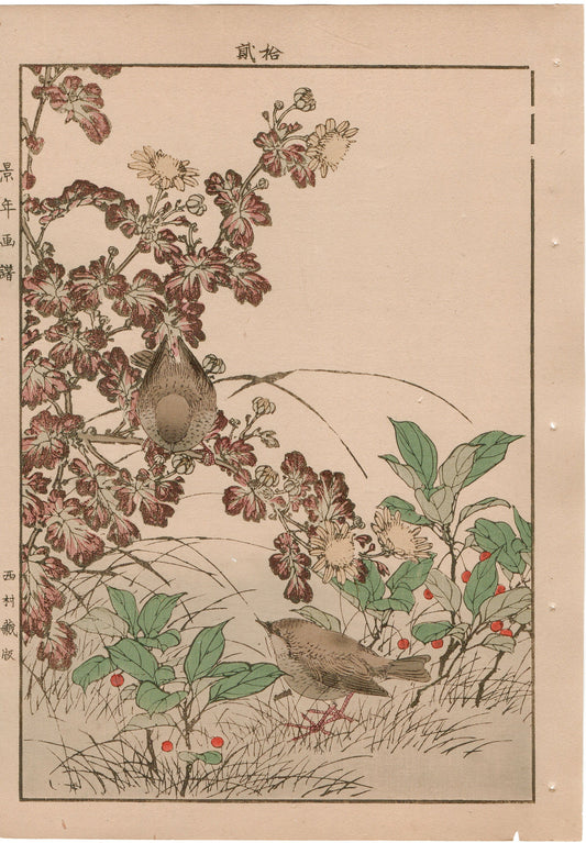 Japanese Antique Original Woodcut Print, 1892, Imao Keinen, "Winter chrysanthemum, Ardisia japonica, Eurasian wren"