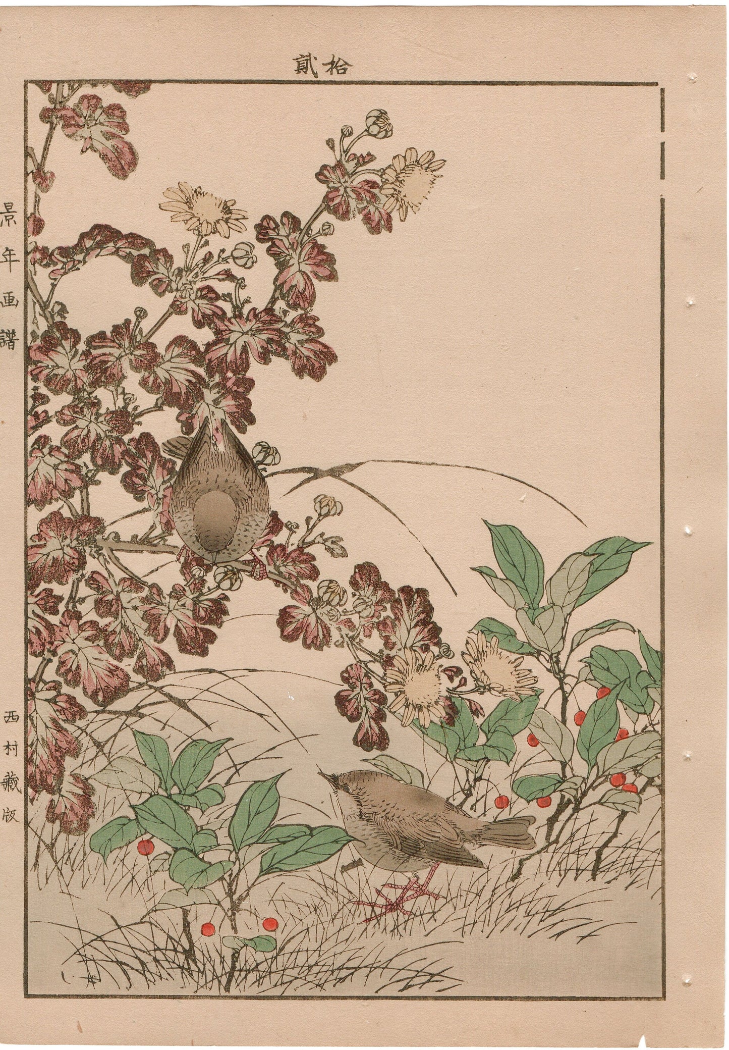1892, Japanese Antique Original Woodblock Print, Imao Keinen, "Winter chrysanthemum, Ardisia japonica, Eurasian wren"