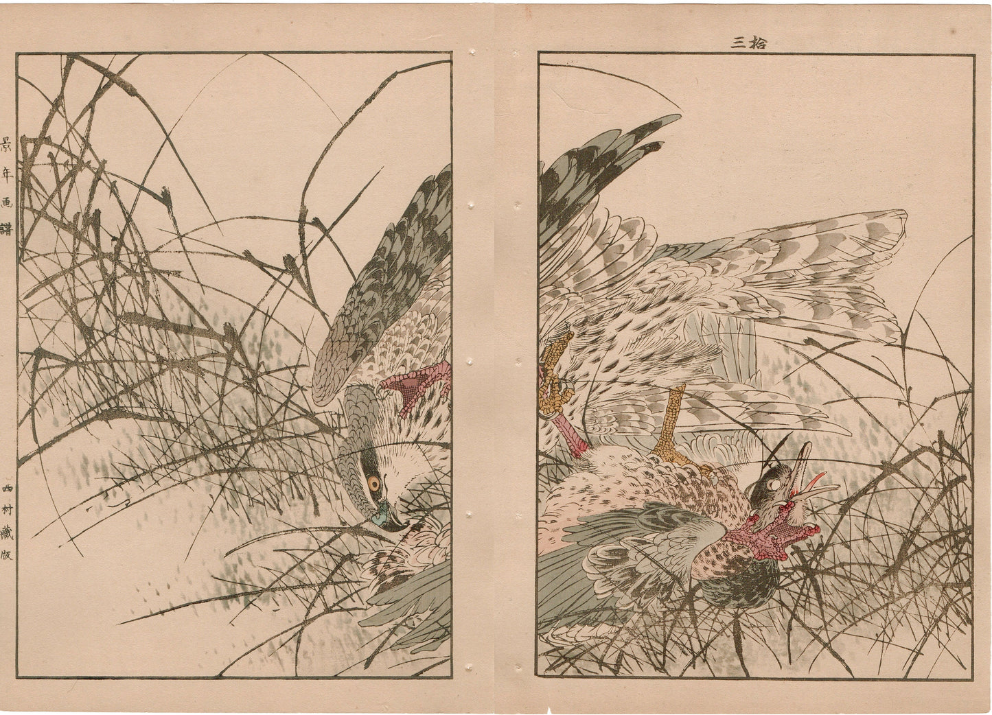 Japanese Antique Original Woodcut Print, 1892, Imao Keinen, "Themeda triandra var. japonica, Hawk, Duck"