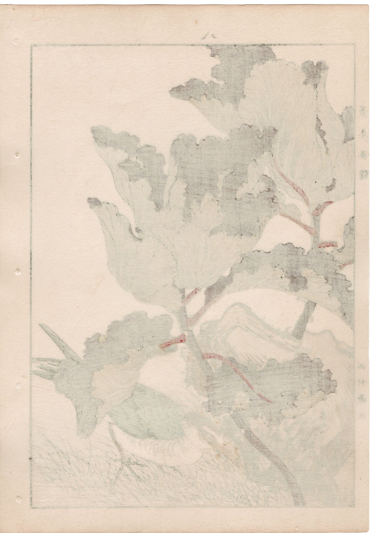 Japanese Antique Original Woodcut Print, 1892, Imao Keinen, "Flowering kale, Kawarabashiri"