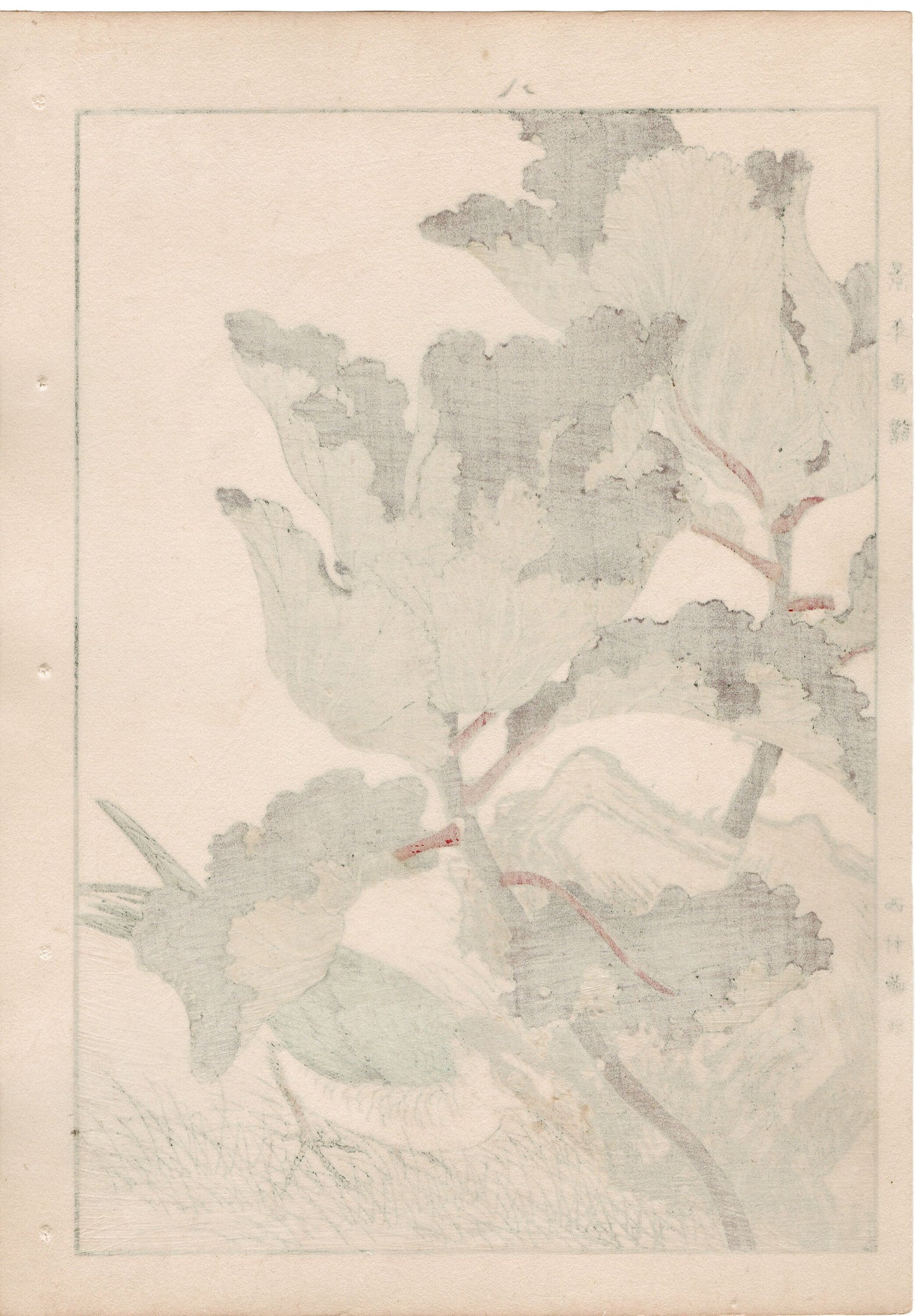 1892, Japanese Antique Original Woodblock Print, Imao Keinen, "Flowering kale, Kawarabashiri"
