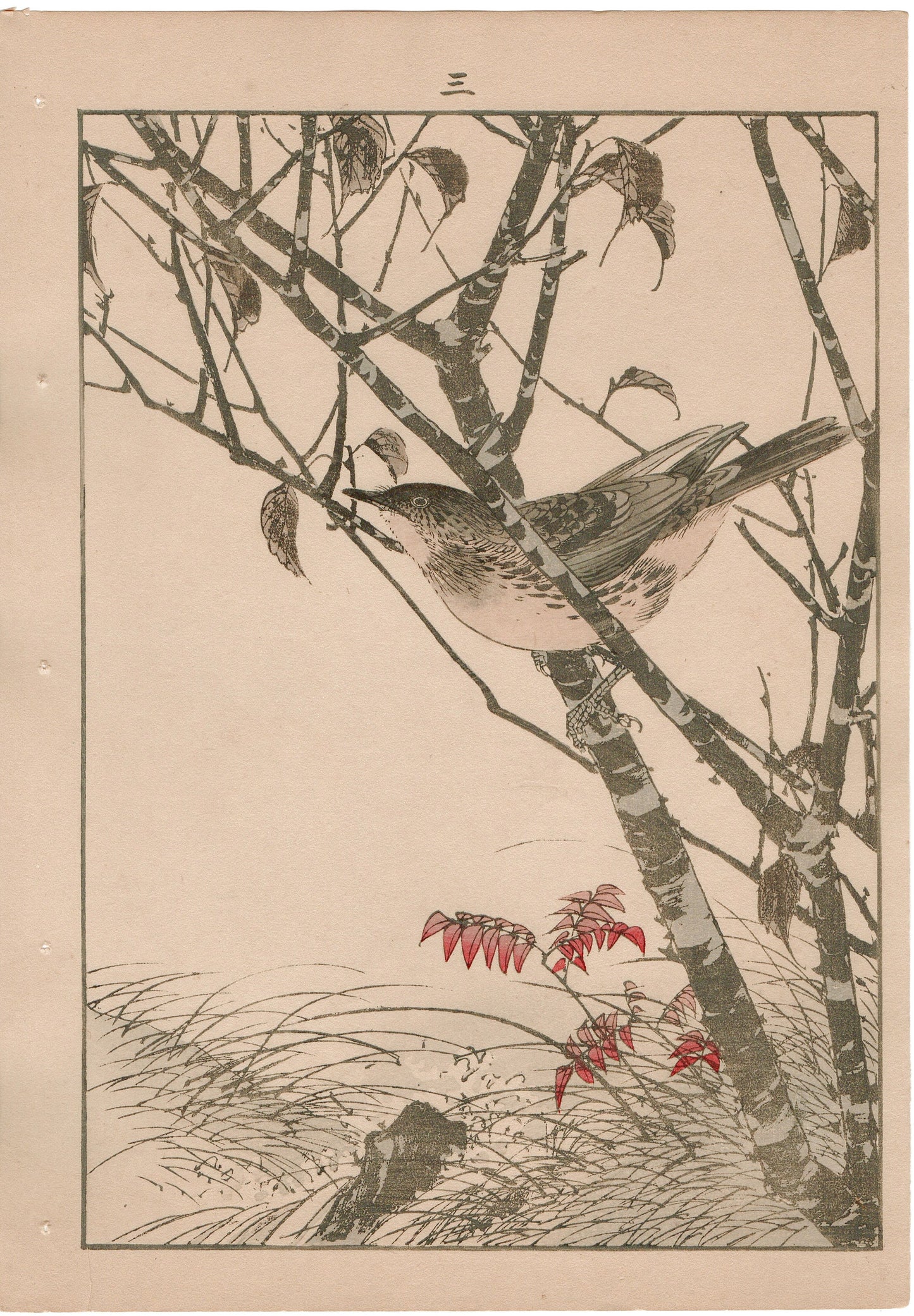 Japanese Antique Original Woodcut Print, 1892, Imao Keinen, "Leaf cherry, Dusky thrush"