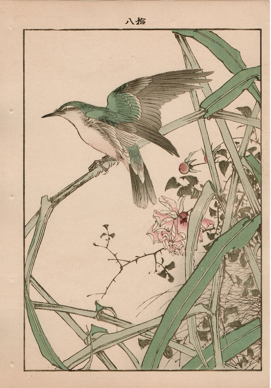 Japanese Antique Original Woodcut Print, 1892, Imao Keinen, "Common reed, Chinese rose, Oriental reed warbler"