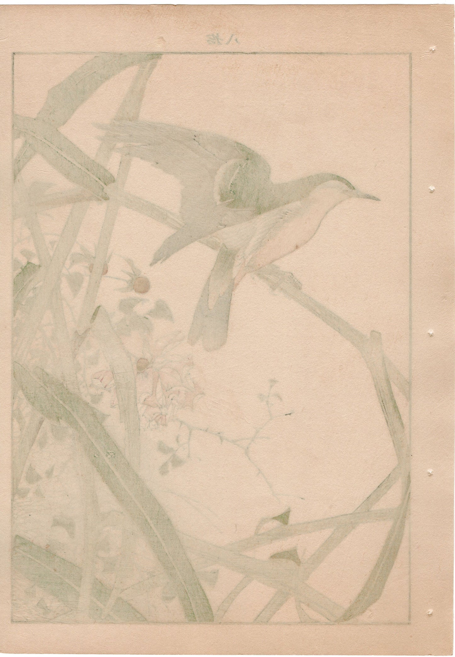 Japanese Antique Original Woodcut Print, 1892, Imao Keinen, "Common reed, Chinese rose, Oriental reed warbler"