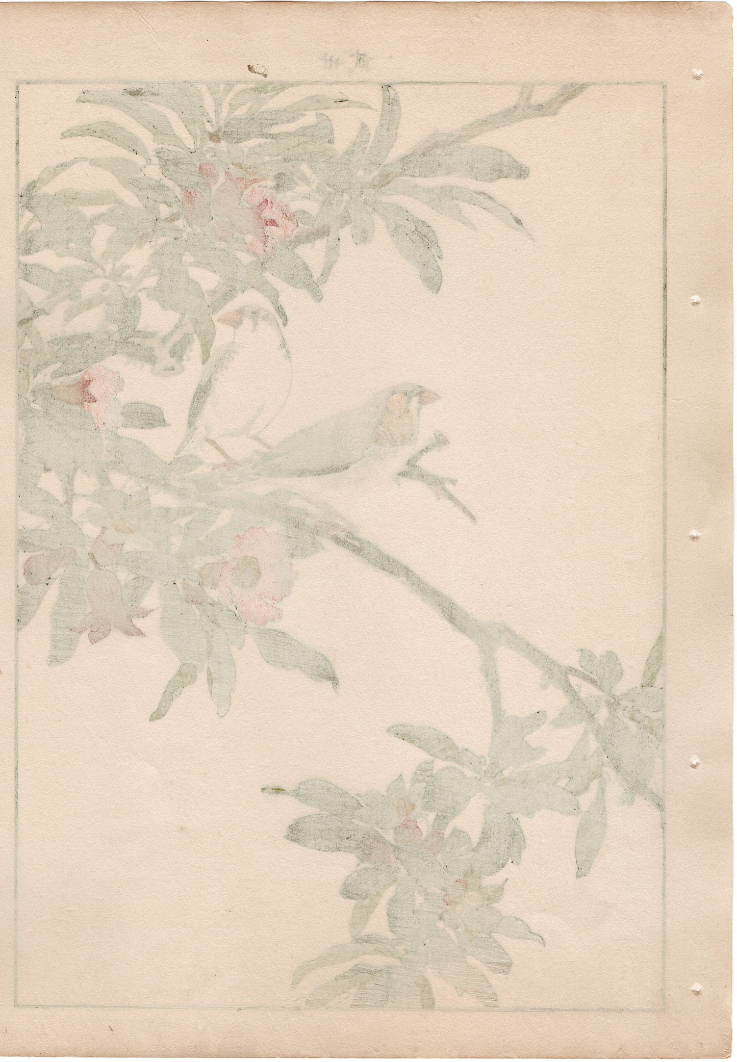Japanese Antique Original Woodcut Print, 1892, Imao Keinen, "Pomegranate flower, Kintaicho"
