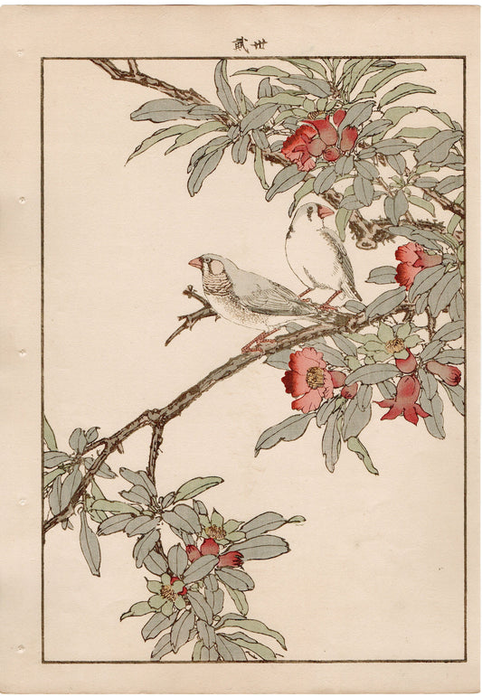 Japanese Antique Original Woodcut Print, 1892, Imao Keinen, "Pomegranate flower, Kintaicho"