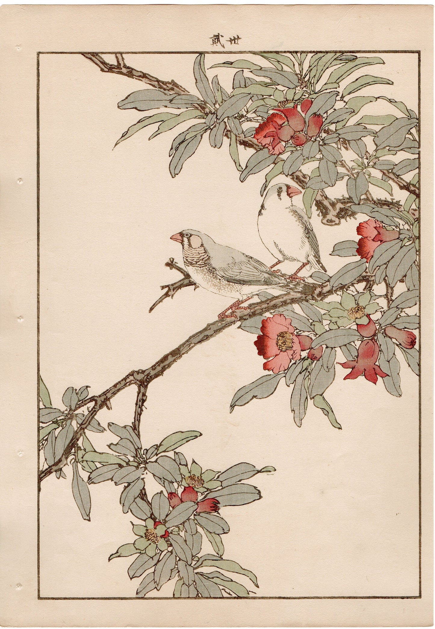 1892, Japanese Antique Original Woodblock Print,  Imao Keinen, "Pomegranate flower, Kintaicho"