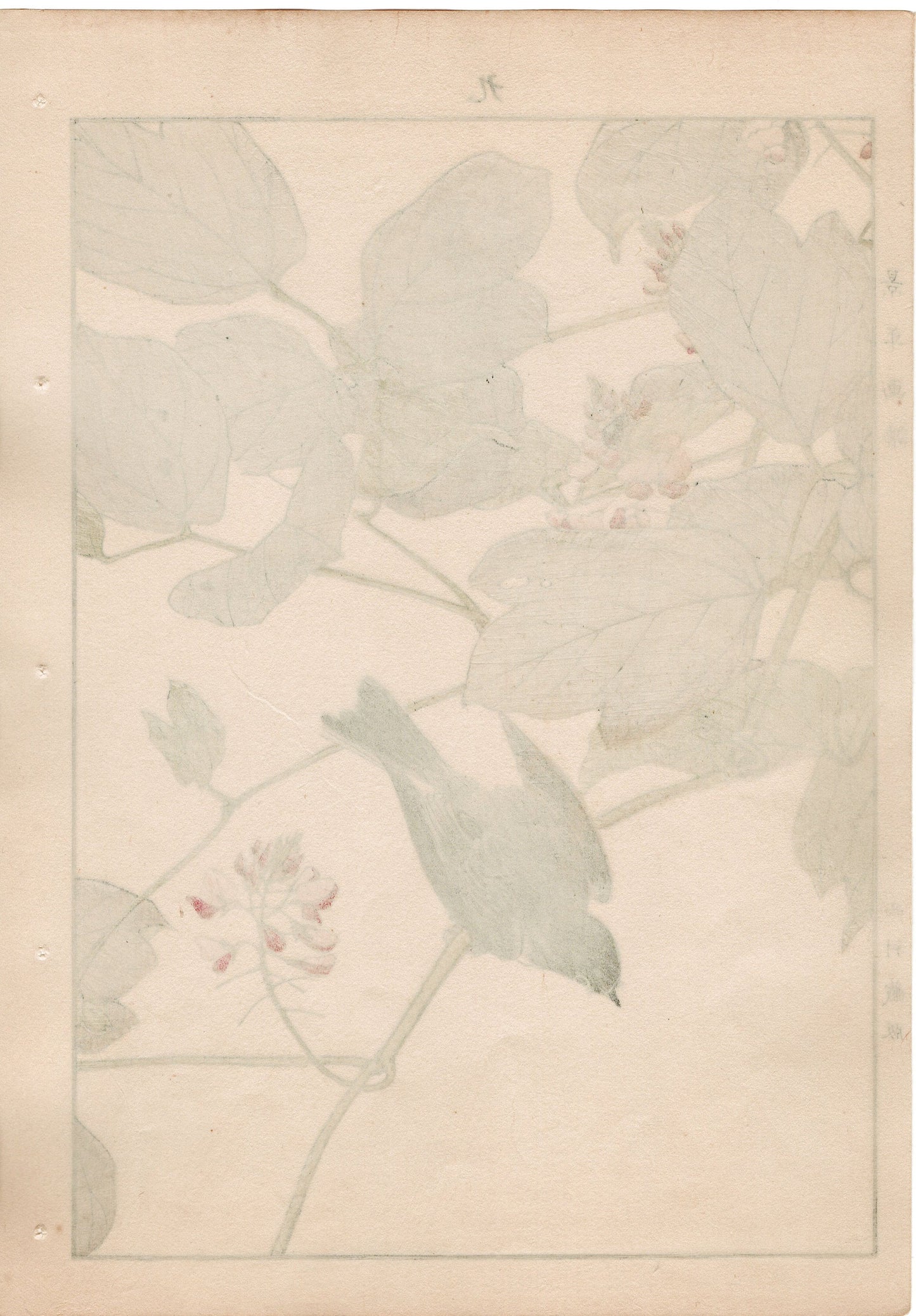 Japanese Antique Original Woodcut Print, 1892, Imao Keinen, "Kudzu, Kuromebachi"