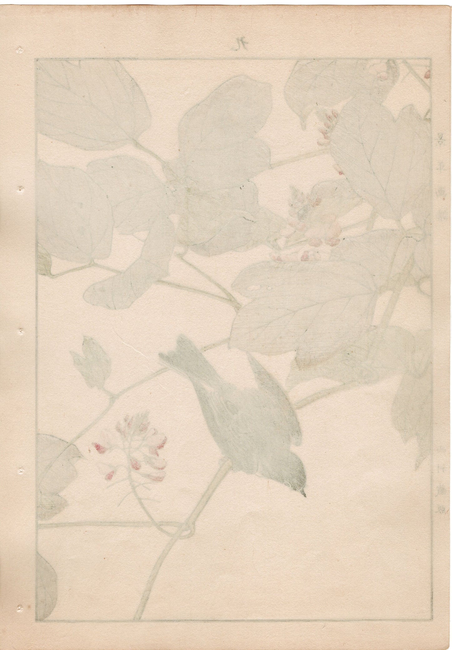 Japanese Antique Original Woodcut Print, 1892, Imao Keinen, "Kudzu, Kuromebachi"